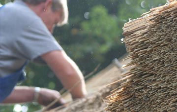 professional Newbarns thatchers